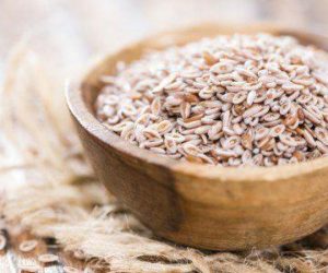 psyllium benefícios